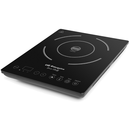 PLACA INDUÇÃO ORBEGOZO - PIC2000