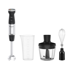 VARINHA MOULINEX - DD673810